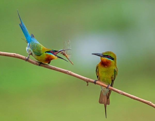 J1S3I269